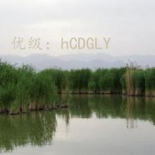 ʵ¼